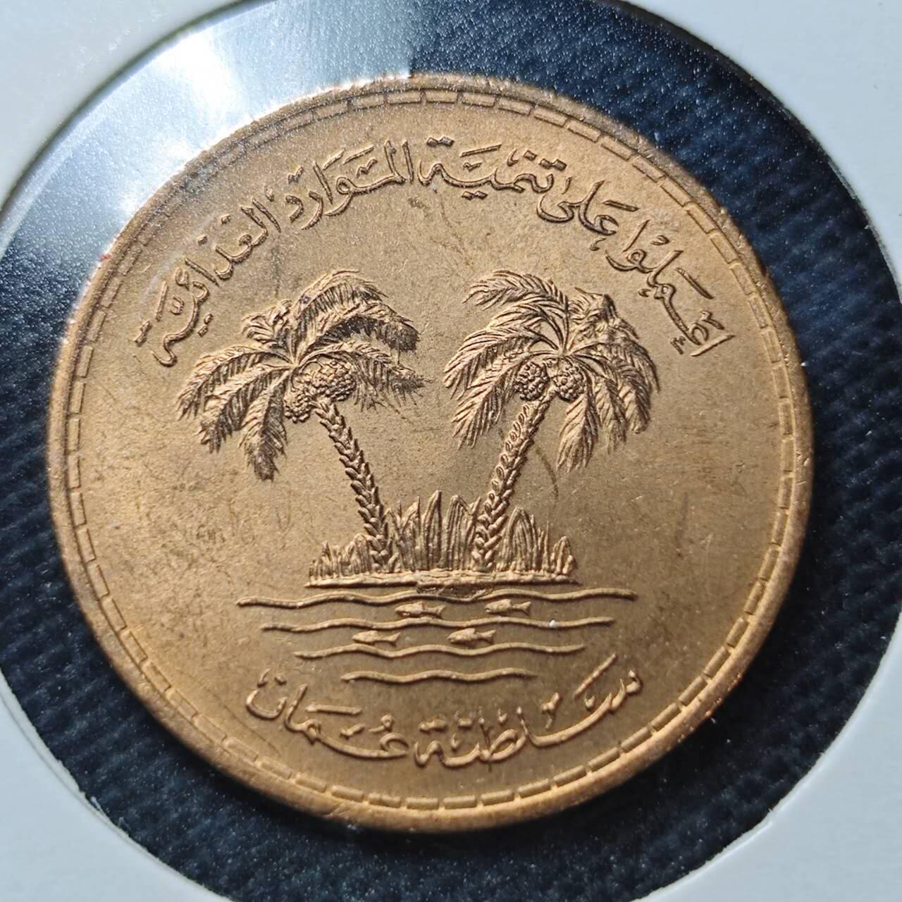 KK钱币收藏小铺  纪念币专场  2月预留时间 周末发货  阿曼10费尔铜币