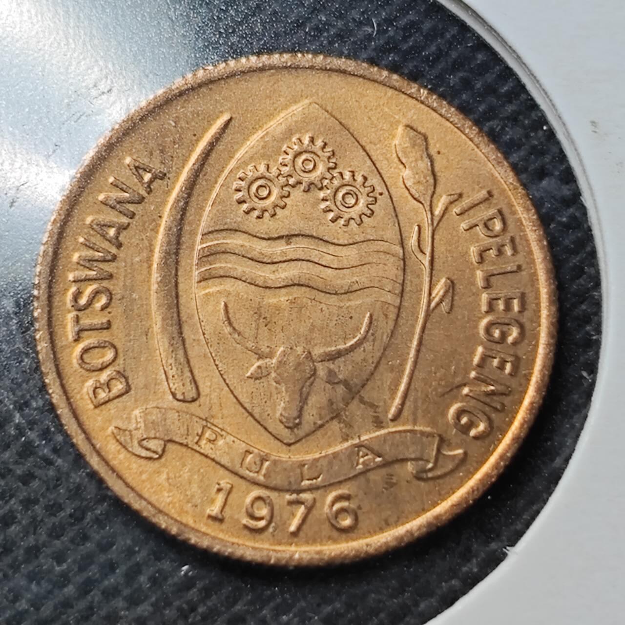 KK钱币收藏小铺  纪念币专场  2月预留时间 周末发货