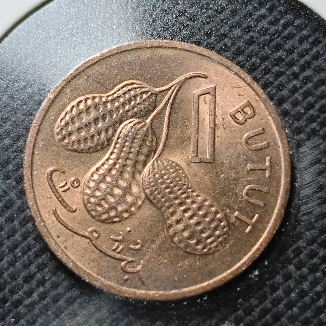 KK钱币收藏小铺  第356场  2月预留时间 周末发货  冈比亚1布图 铜币 好品