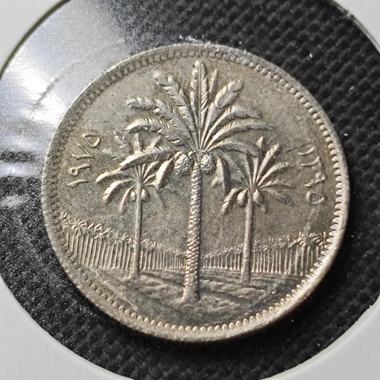 KK钱币收藏小铺  第356场  2月预留时间 周末发货