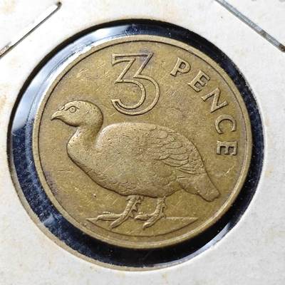 KK钱币收藏小铺  第356场  2月预留时间 周末发货 -  1966英属冈比亚6便士铜币