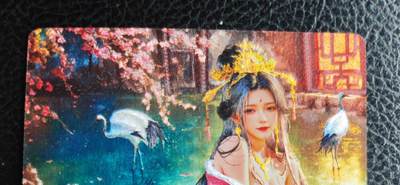 阳大大卡牌拍卖第77期（持续收拍品，周五晚上九点截拍，进群福利早知道） - 28.奇点 奇点卡牌 盲包卡 粗闪卡 宗Rich 十二花神 杨玉环欲
