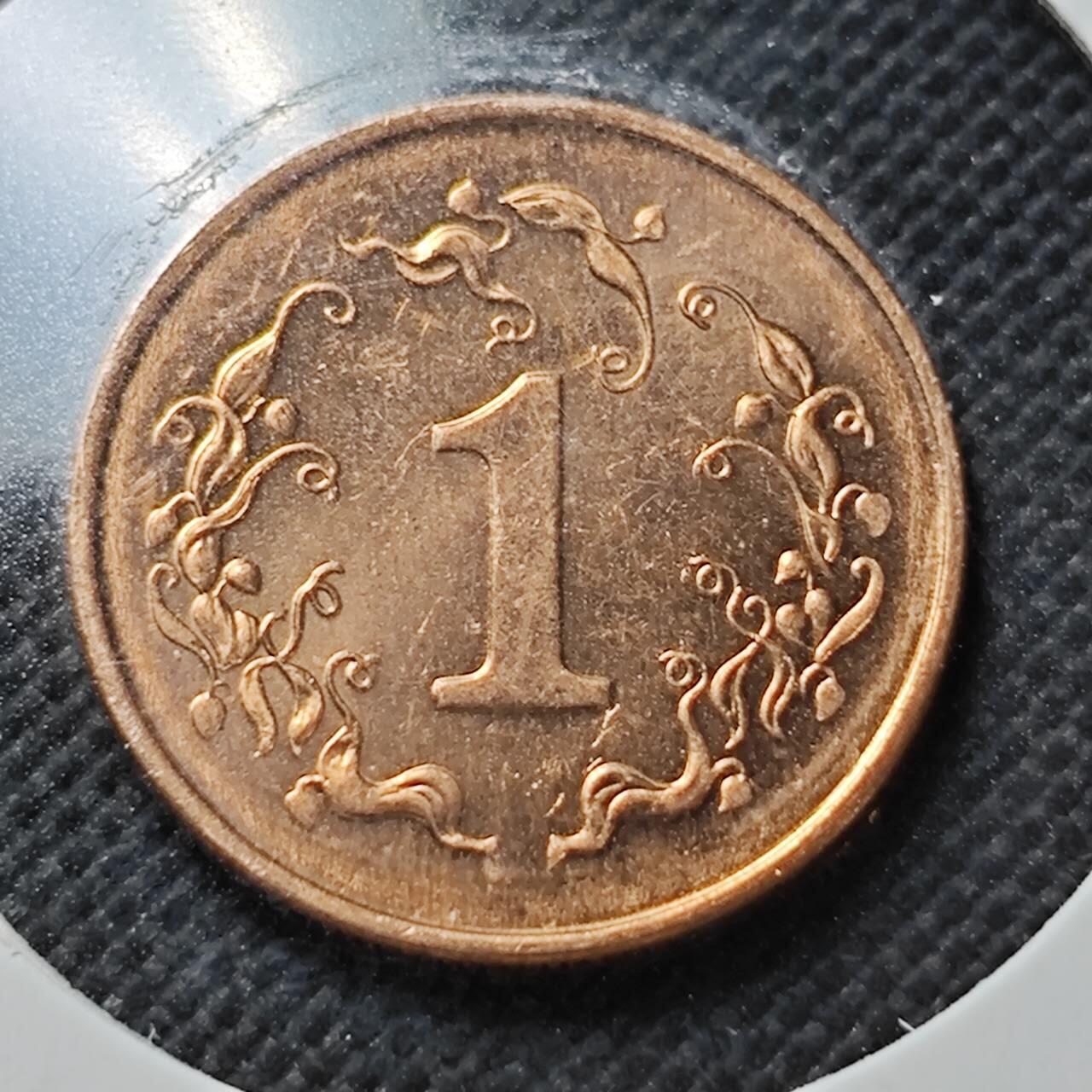 KK钱币收藏小铺  第356场  2月预留时间 周末发货