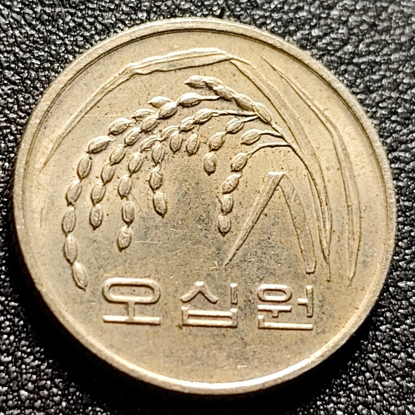 泉币菌-第115场-精品福利场 。