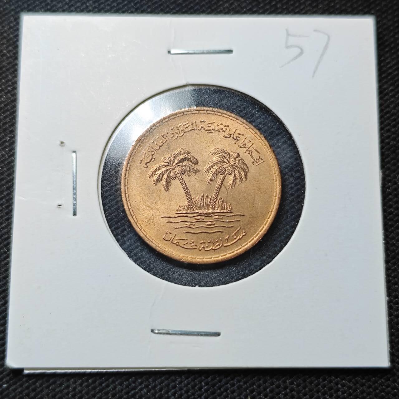 KK钱币收藏小铺  纪念币专场  2月预留时间 周末发货  阿曼10费尔铜币