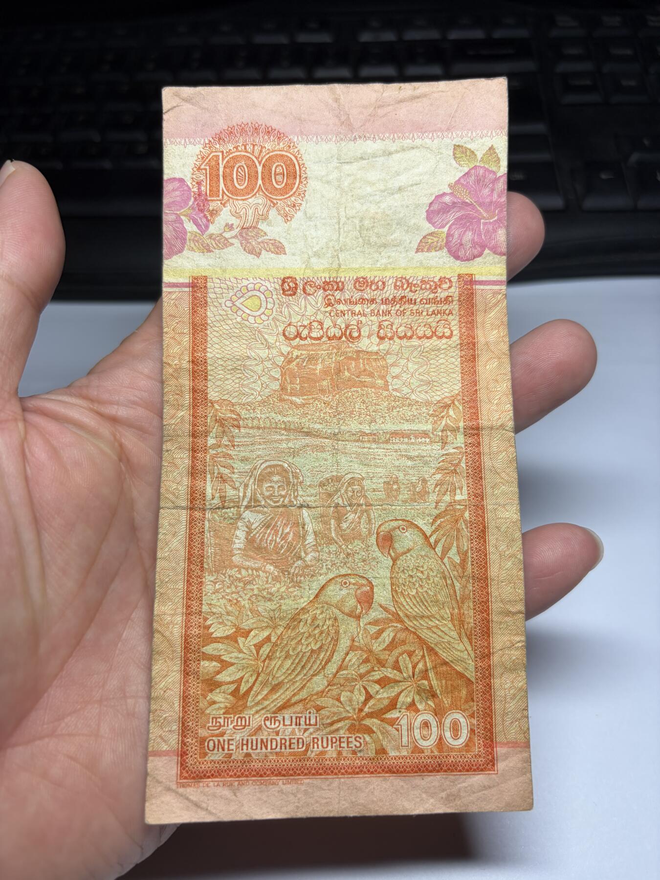 2025年集古藏今外币拍卖第九期-第10场—（总第280拍-纸币专场），本期拍完结算一次，发货时间2-3天，休息几天后继续新的一期拍卖。 2005年斯里兰卡100卢比