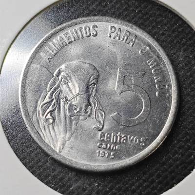 KK钱币收藏小铺  纪念币专场  2月预留时间 周末发货 -   1975巴西农粮纪念币5分 好品