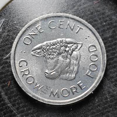 KK钱币收藏小铺  纪念币专场  2月预留时间 周末发货 -  1972塞舌尔一分纪念币