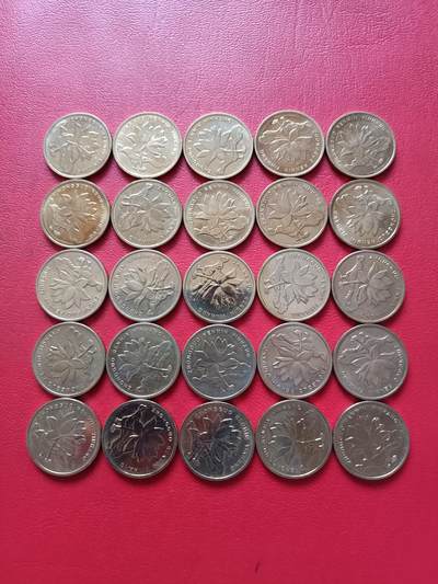 【云涧收藏】第七十三场 荷花25枚