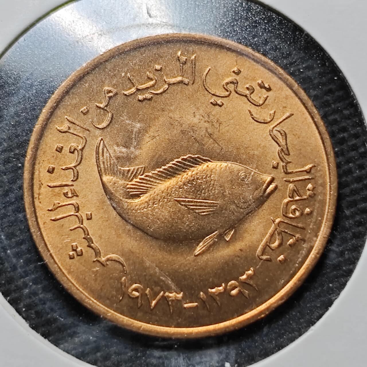 KK钱币收藏小铺  纪念币专场  2月预留时间 周末发货  阿联酋5费尔铜币