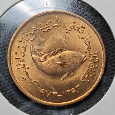 KK钱币收藏小铺  纪念币专场  2月预留时间 周末发货 -  阿联酋5费尔铜币