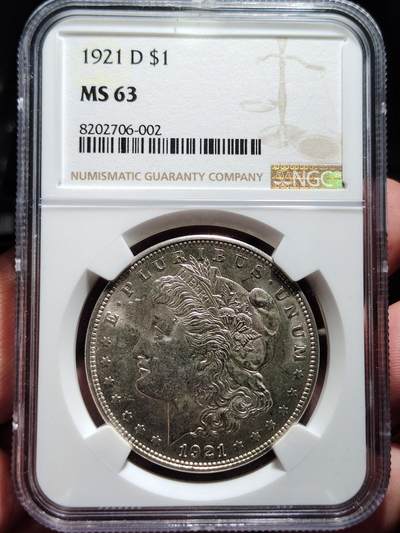 中外钱币第五场 - NGC-MS63美国1921年摩根银币D版