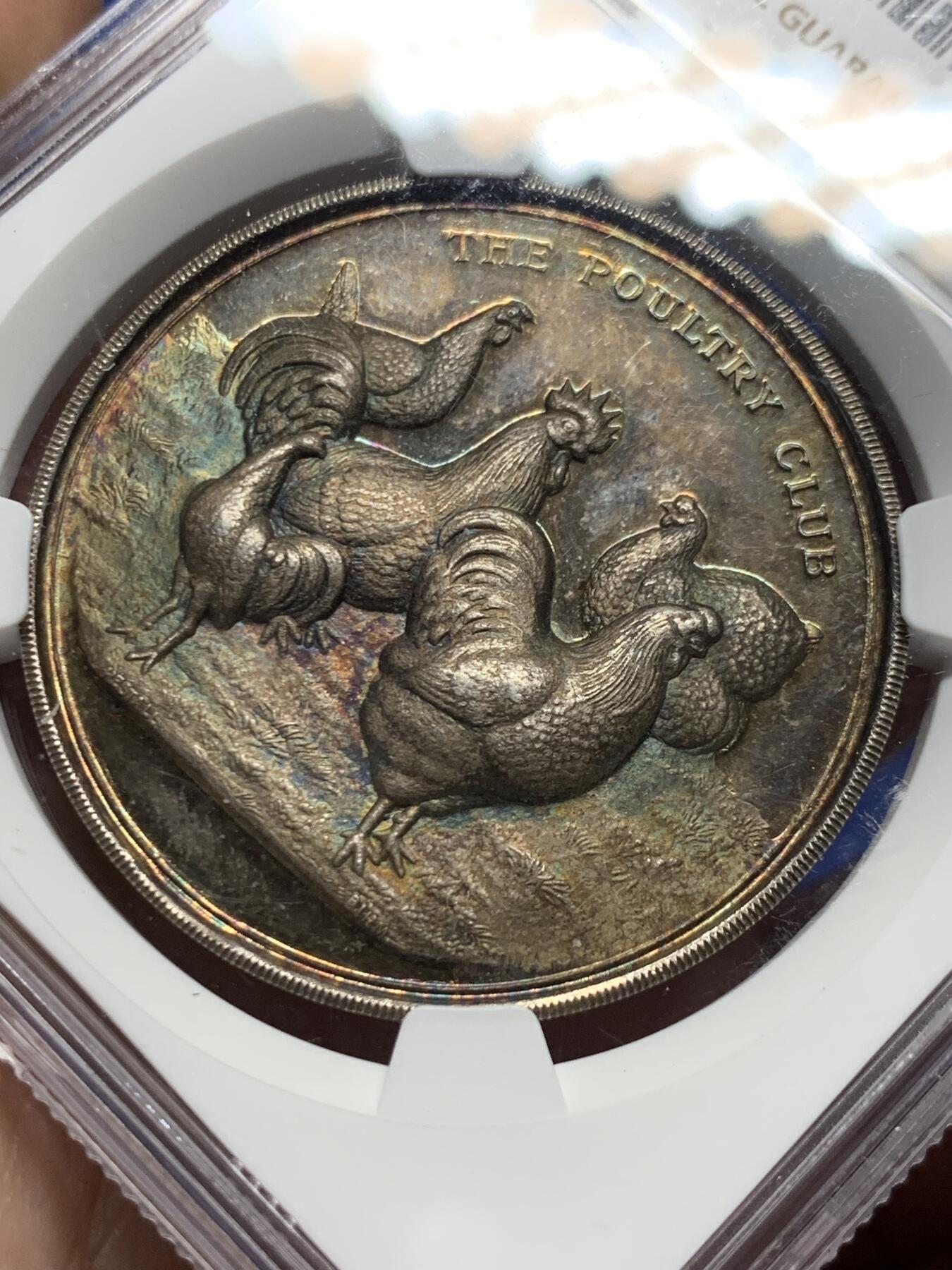 《竞宝斋》第431场 周日，周一，周二 3场连拍 （全场包邮） NGC MS64 英国家禽俱乐部银章，高浮雕五彩