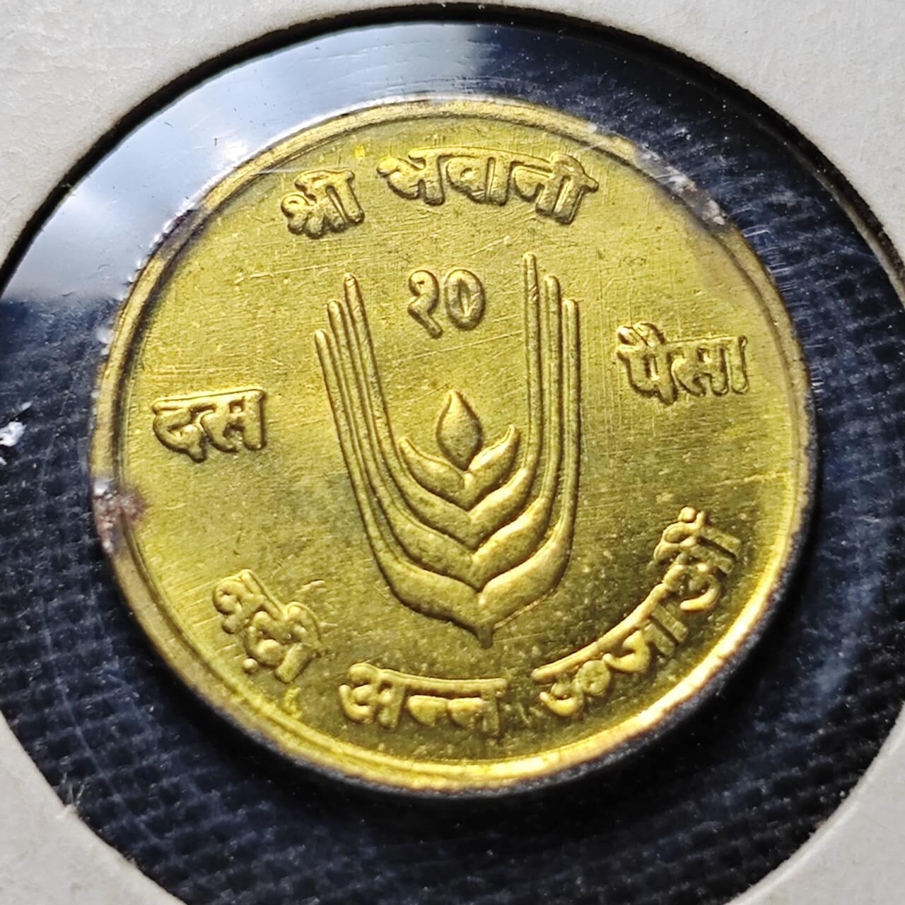 KK钱币收藏小铺  纪念币专场  2月预留时间 周末发货  尼泊尔10派沙纪念币