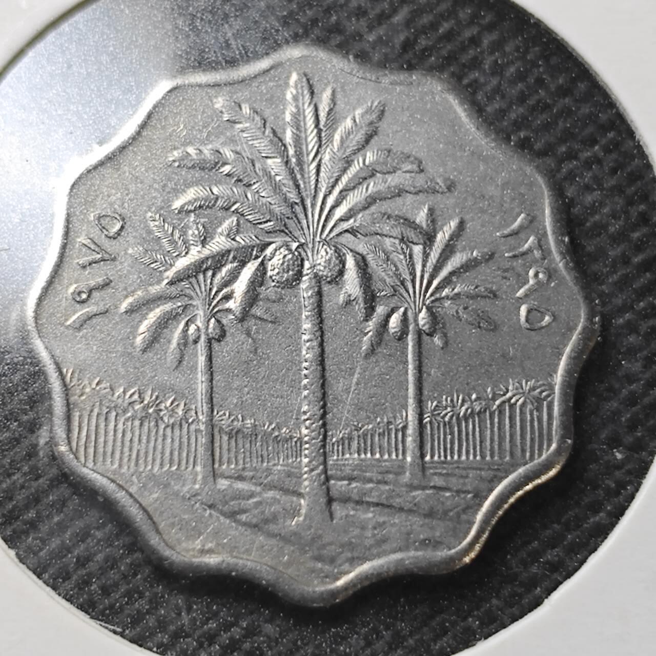 KK钱币收藏小铺  纪念币专场  2月预留时间 周末发货