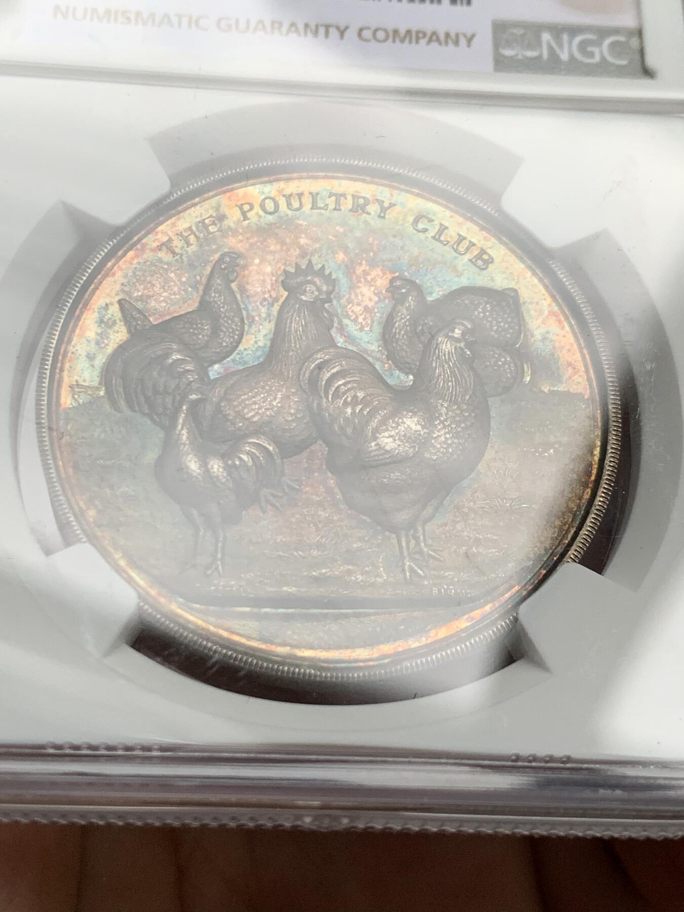 《竞宝斋》第431场 周日，周一，周二 3场连拍 （全场包邮） NGC MS64 英国家禽俱乐部银章，高浮雕五彩