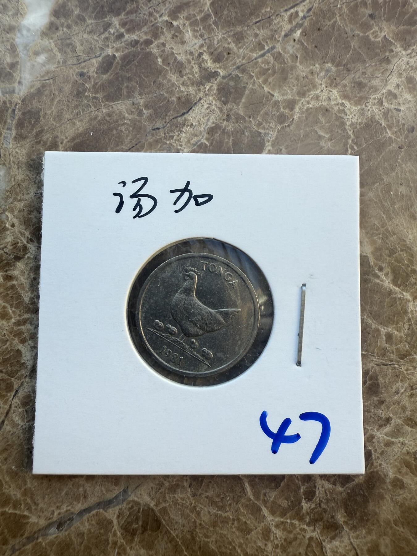四海杂货铺第六场 汤加硬币