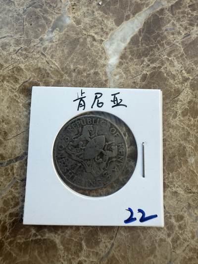 四海杂货铺第六场 - 肯尼亚硬币