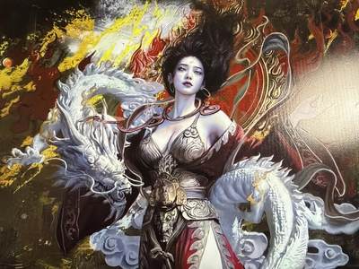 卡牌发烧友第20期，随单带裸卡，进群享包邮（持续收拍品，每周六晚23:50截拍，焱卡文化，国潮卡牌专场） - 【A4卡档】自制卡档 亢金龙 正反面双服饰 PVC材质