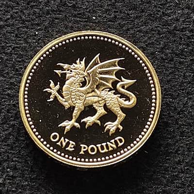 【全场包邮】纯粹捡漏拍470场（免费代拍第7场） - 英国1995年1镑四邦国盾徽系列威尔士红龙精制纪念币