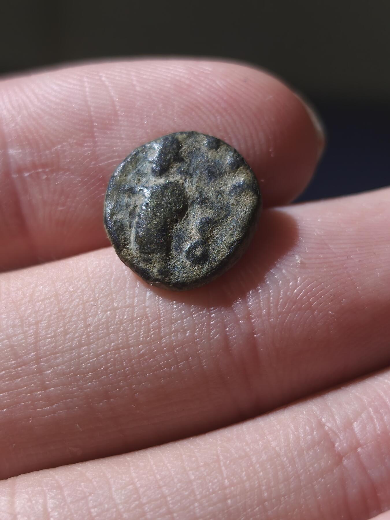 星盘世界钱币十一月五日古典币专场