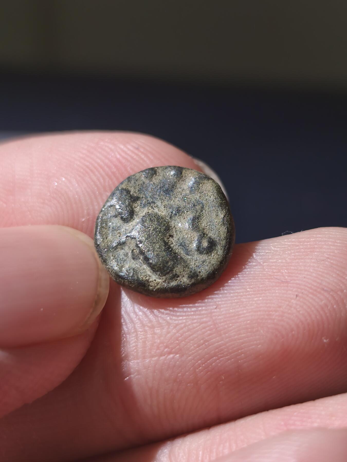 星盘世界钱币十一月五日古典币专场