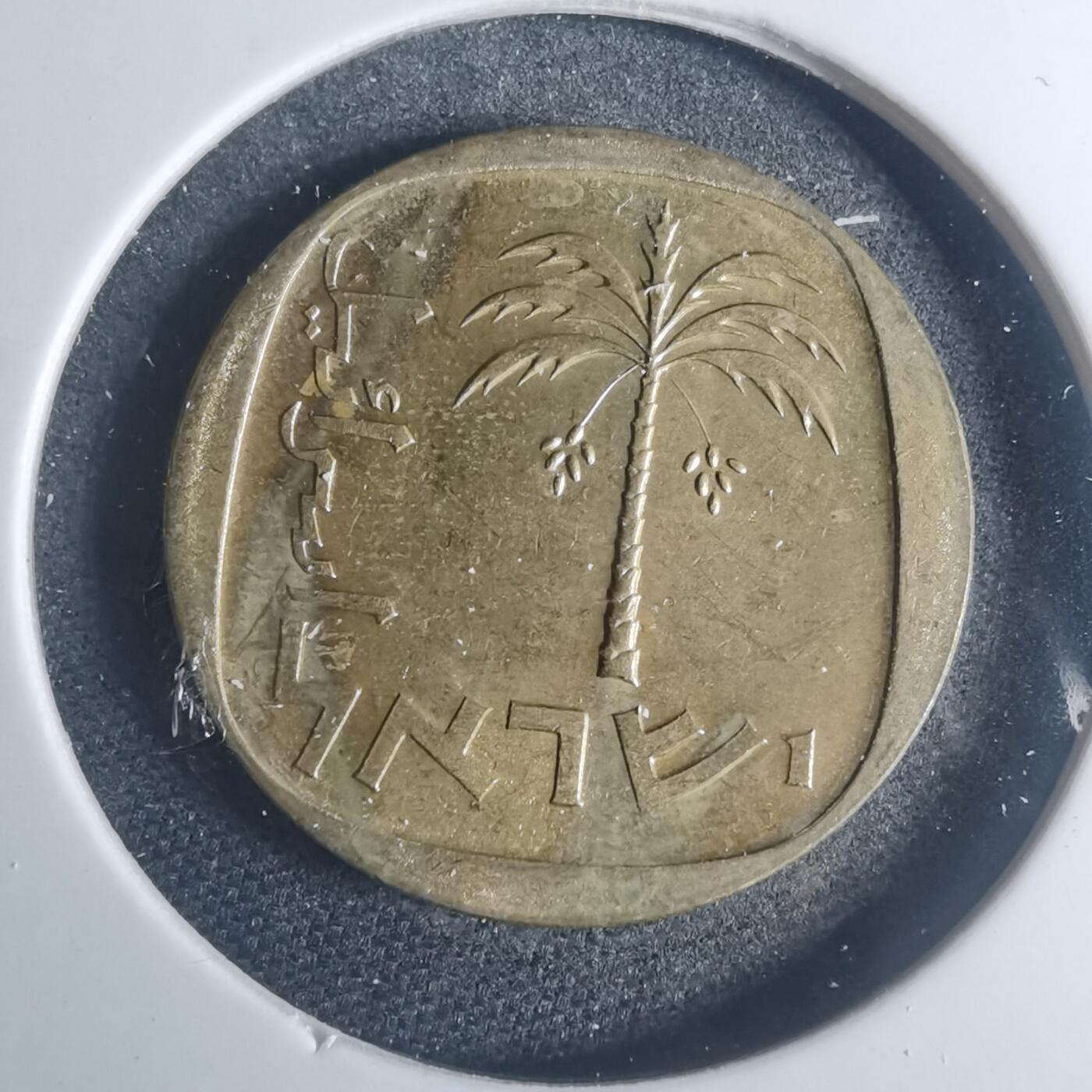 沼泽如烟--第881场 以色列