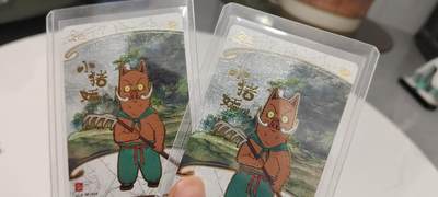 秋原瞳的小店第二十六期（持续收拍，日子飞快，转眼又是一年冬来到） - 卡游浪浪山sp一对