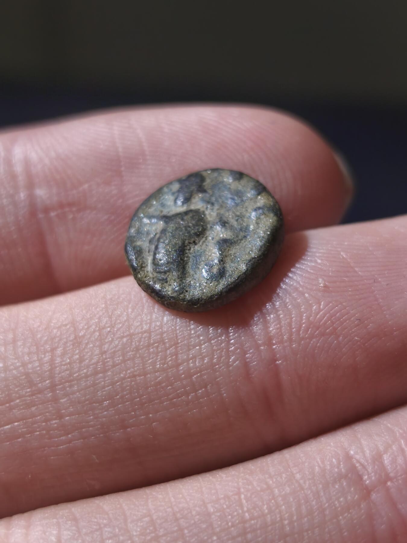 星盘世界钱币十一月五日古典币专场