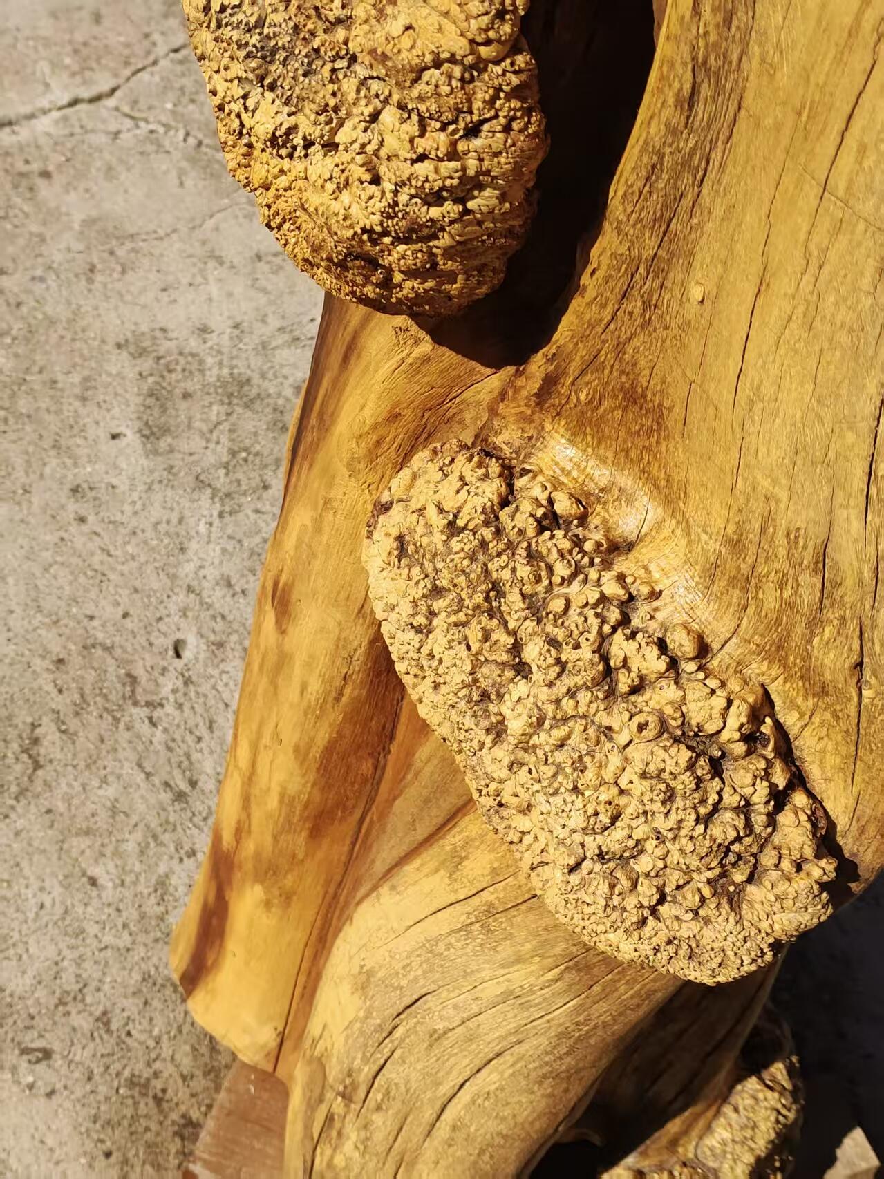 精品特大老榆木风化树瘤异形木墩，天然造型独特漂亮，可做花架，底座民宿，茶空间侘寂风装修佳品