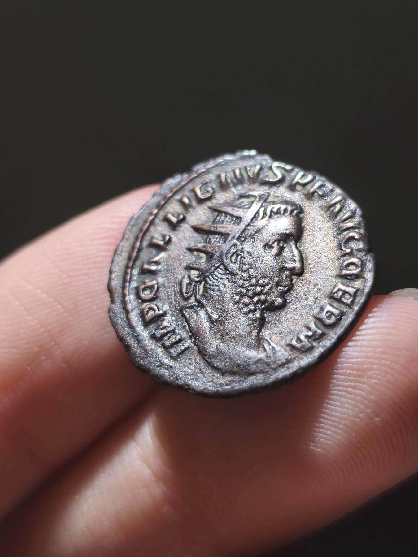 星盘世界钱币十一月五日古典币专场