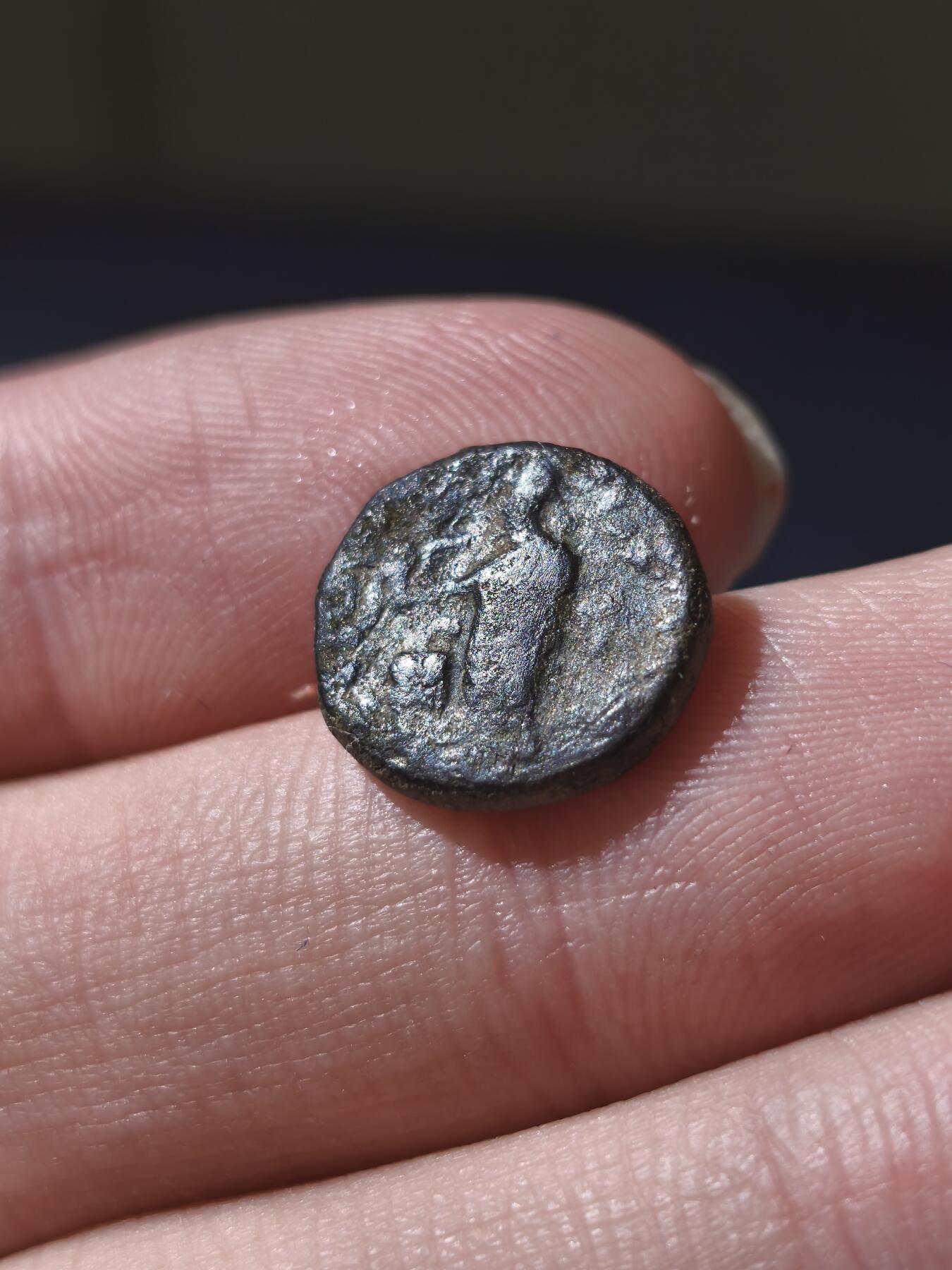 星盘世界钱币十一月五日古典币专场