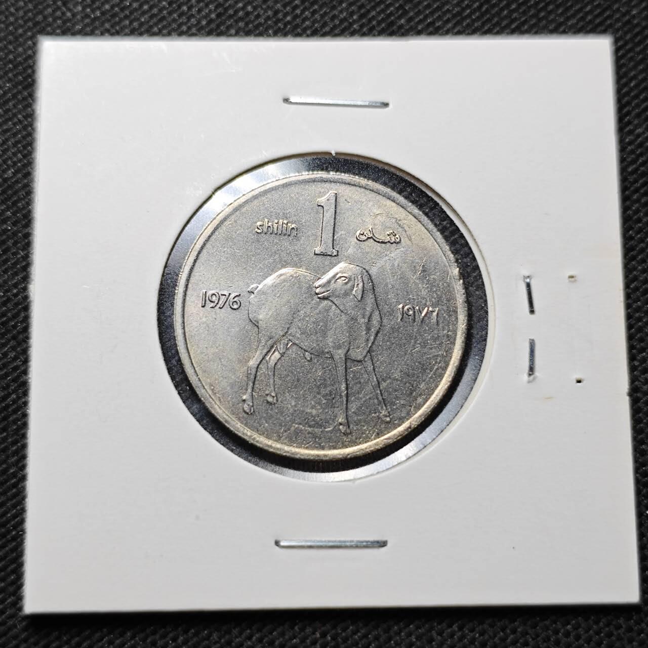 KK钱币收藏小铺  纪念币专场  2月预留时间 周末发货