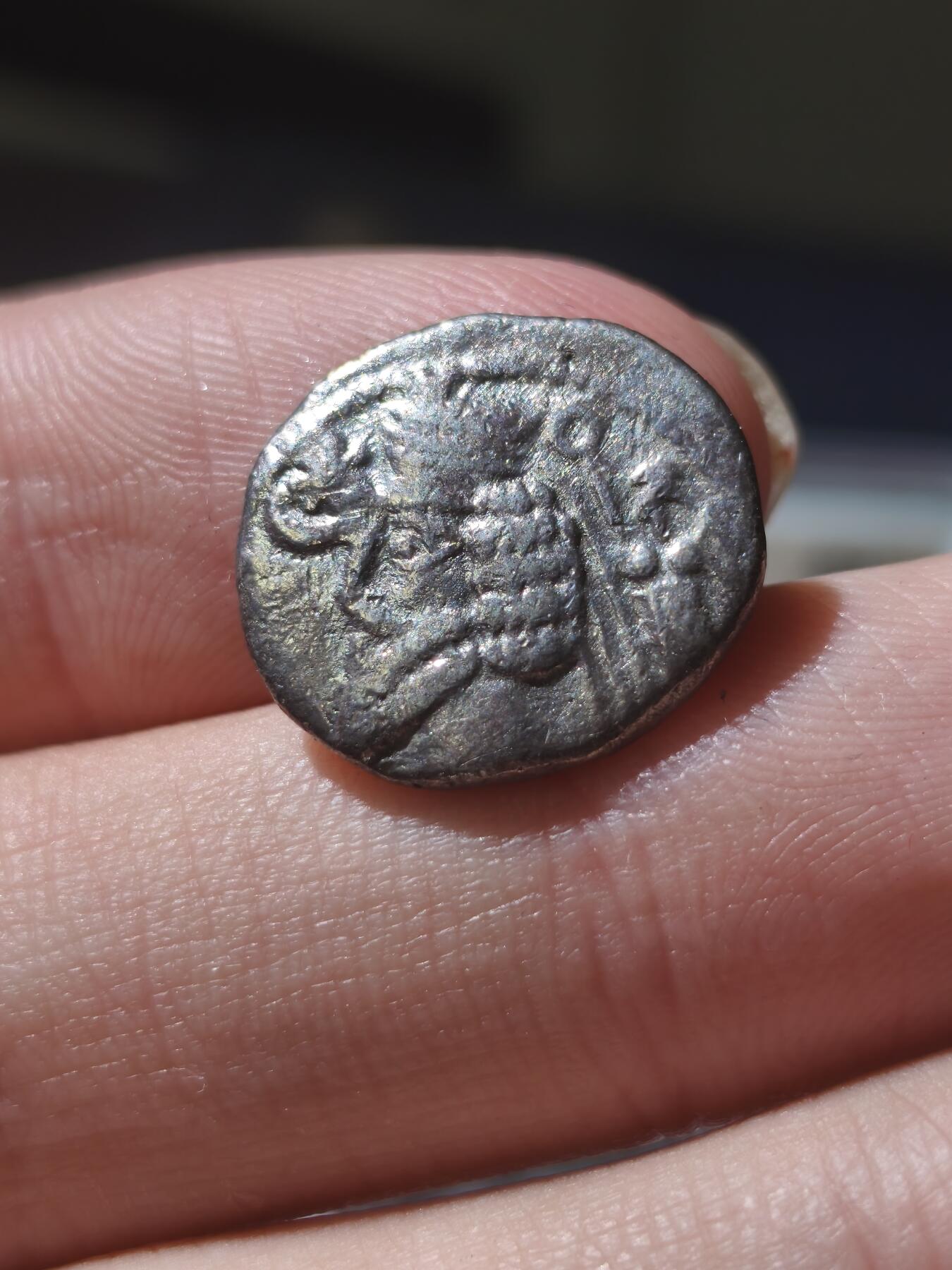 星盘世界钱币十一月五日古典币专场