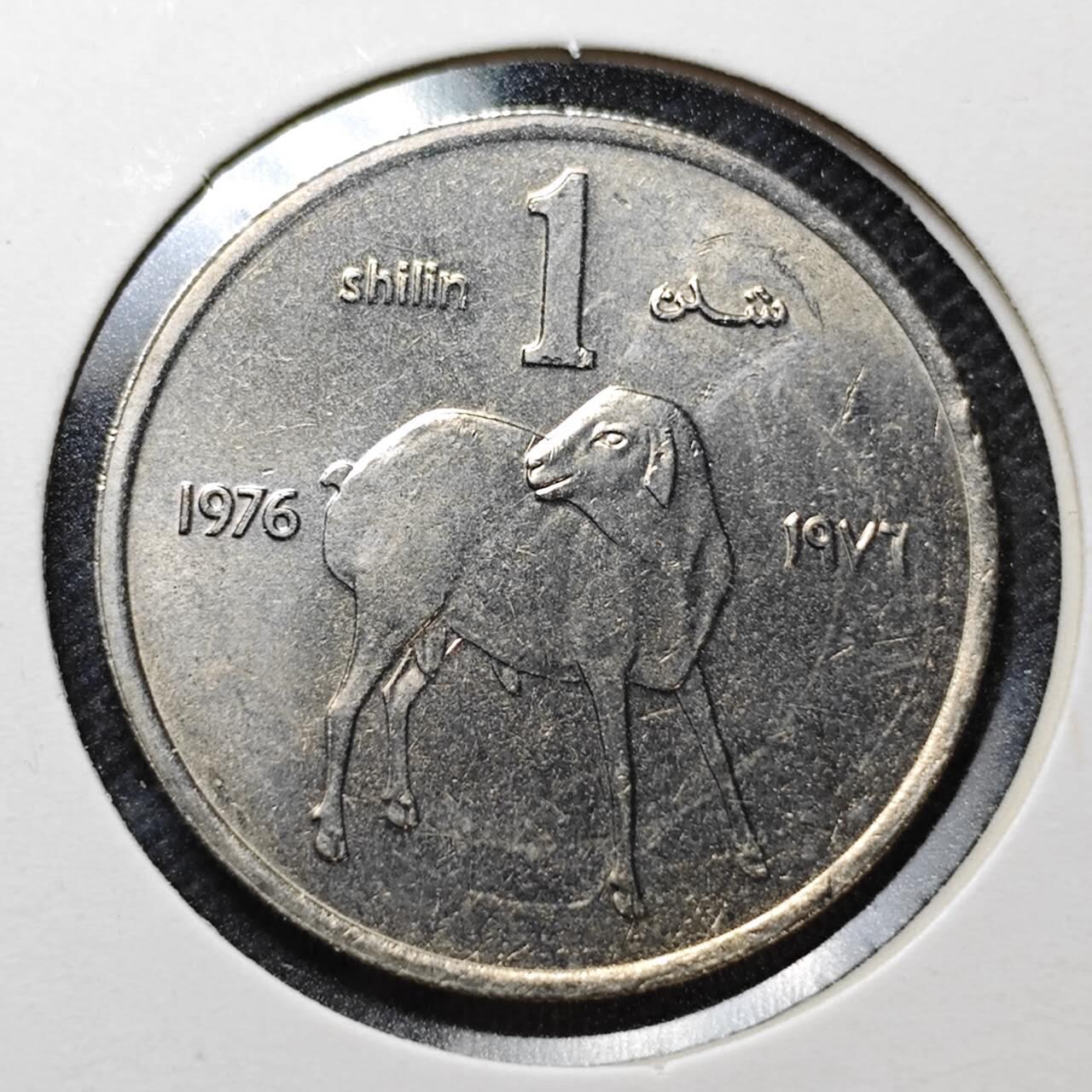 KK钱币收藏小铺  纪念币专场  2月预留时间 周末发货