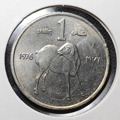 KK钱币收藏小铺  纪念币专场  2月预留时间 周末发货 -  索马里1先令 农粮纪念币 少见