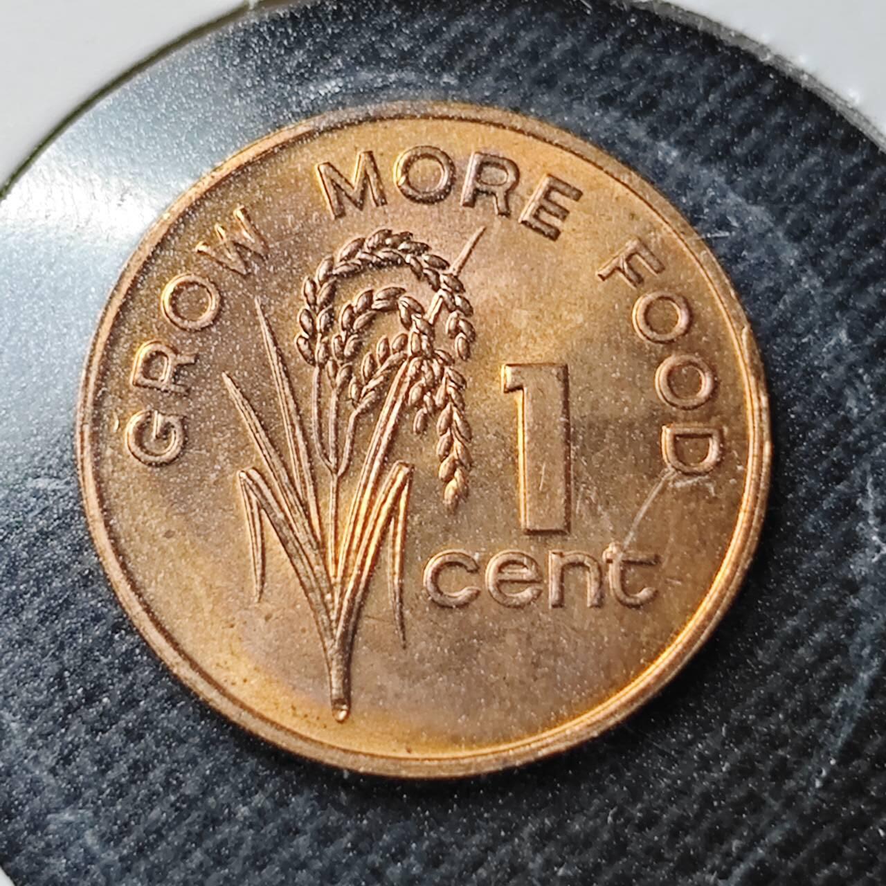 KK钱币收藏小铺  纪念币专场  2月预留时间 周末发货  1977斐济1分农粮纪念币 好品铜币