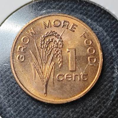 KK钱币收藏小铺  纪念币专场  2月预留时间 周末发货 -  1977斐济1分农粮纪念币 好品铜币