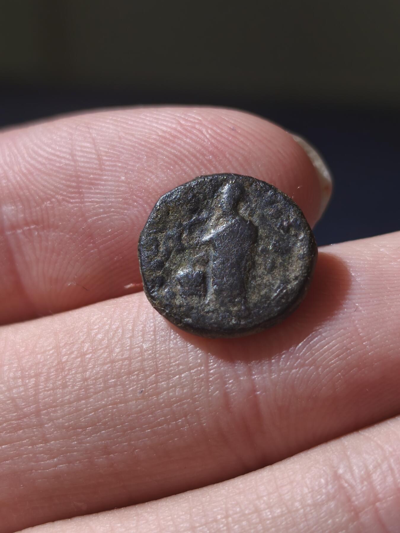 星盘世界钱币十一月五日古典币专场