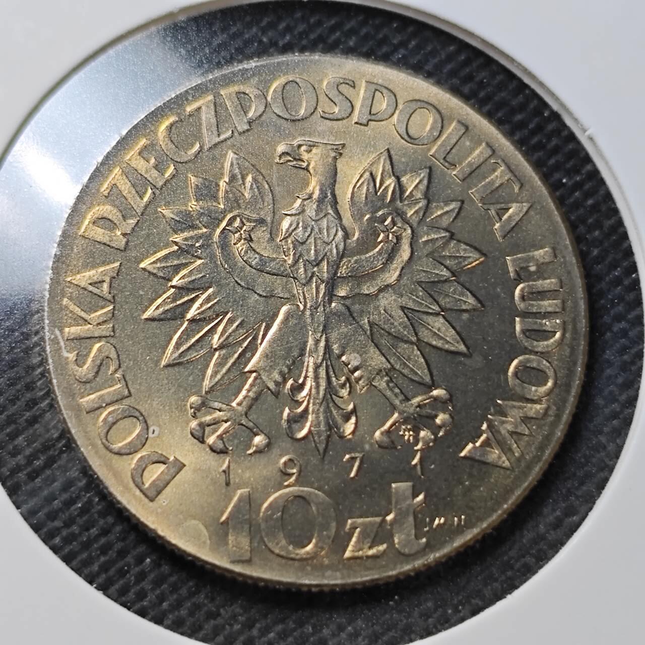 KK钱币收藏小铺  纪念币专场  2月预留时间 周末发货  1971波兰喂奶 10兹罗提FAO 样币