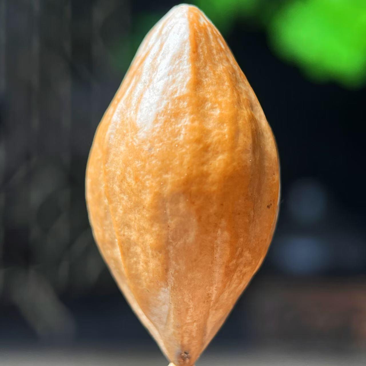 听雨轩（5） 橄榄核雕 2.0天官赐福 单粒