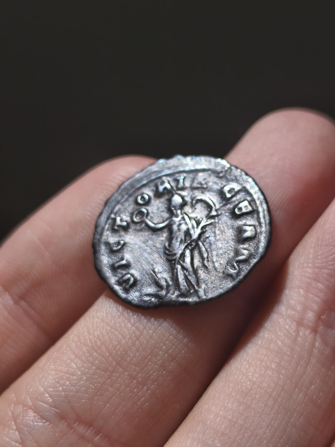 星盘世界钱币十一月五日古典币专场