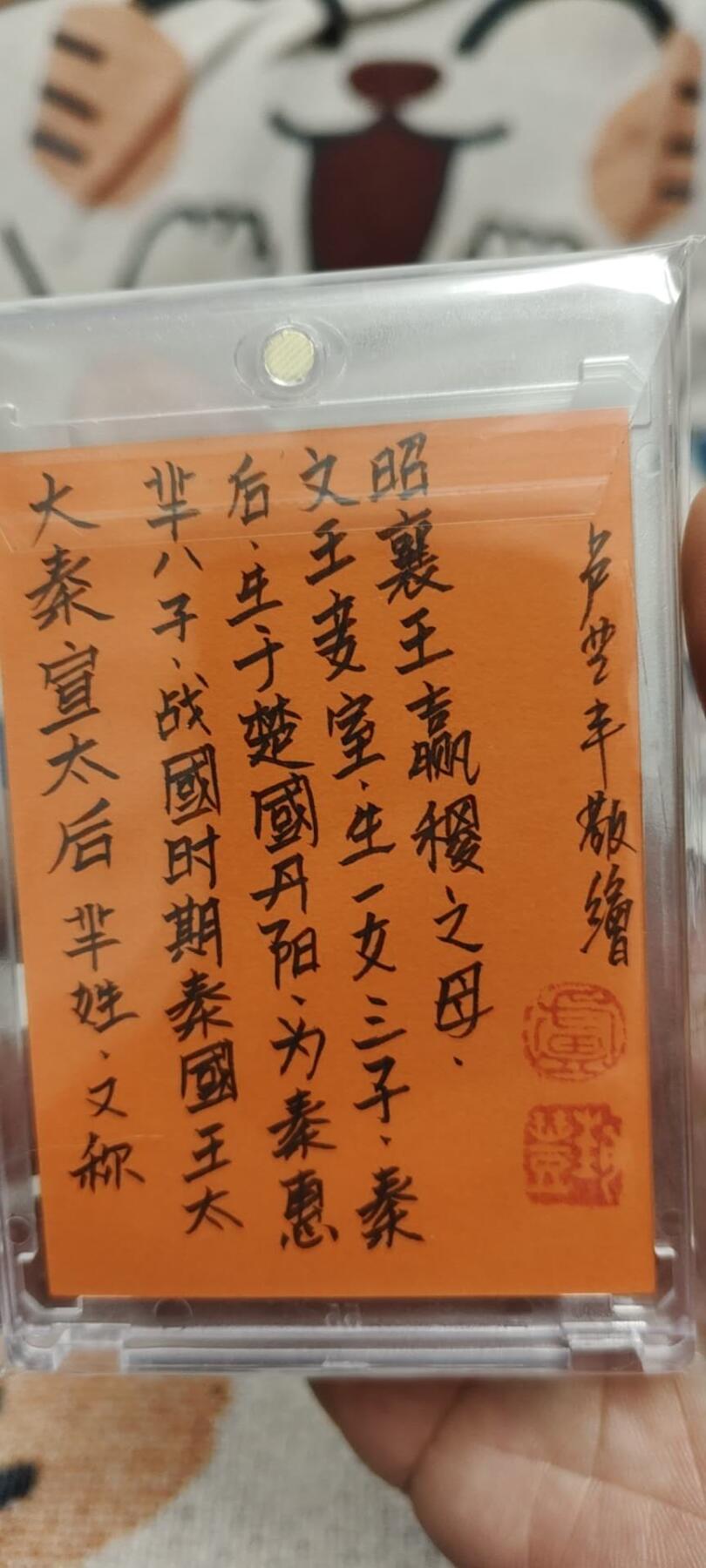 秋原瞳的小店第二十六期（持续收拍，日子飞快，转眼又是一年冬来到） 卢艺丰手绘——大秦，宣太后