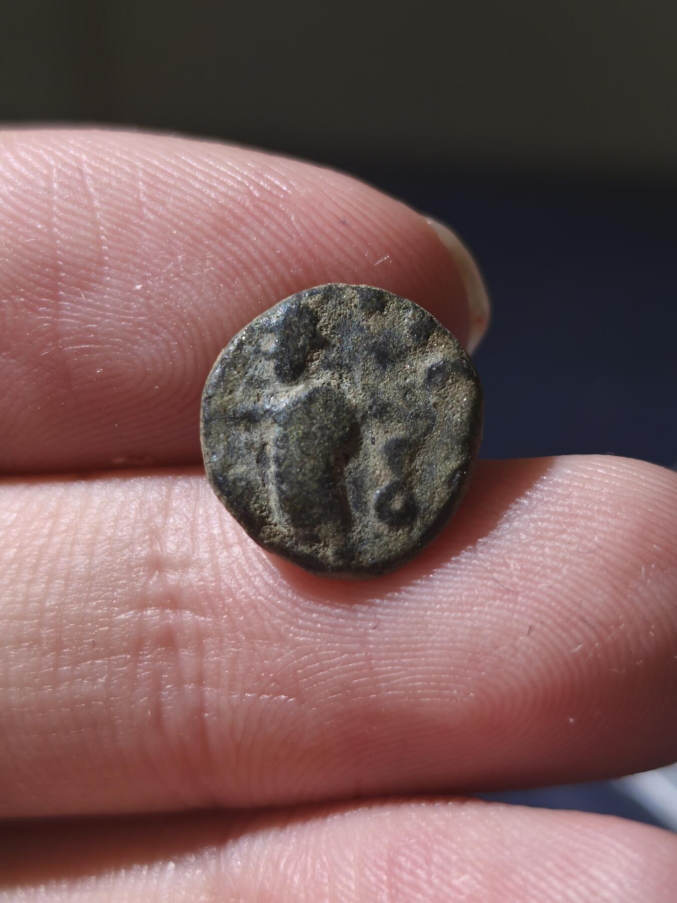 星盘世界钱币十一月五日古典币专场