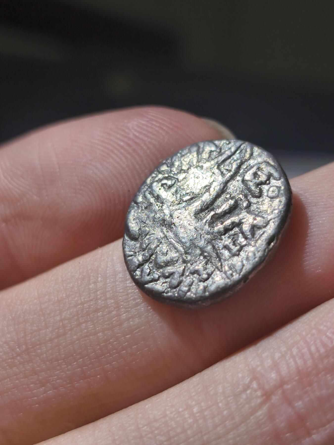 星盘世界钱币十一月五日古典币专场