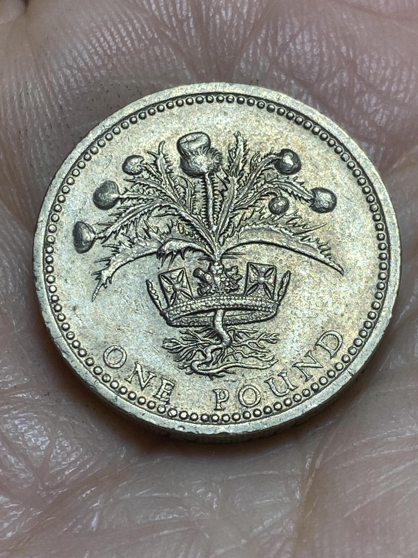 2025年第一百一十五场(总第一百四十一场）外国好品散币(免佣金) 英国🇬🇧1984年1镑(苏格兰蓟)