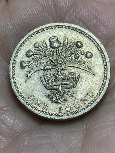 2025年第一百一十五场(总第一百四十一场）外国好品散币(免佣金) - 英国🇬🇧1984年1镑(苏格兰蓟)