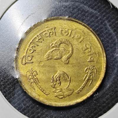 KK钱币收藏小铺  纪念币专场  2月预留时间 周末发货 - 尼泊尔铜币纪念币 