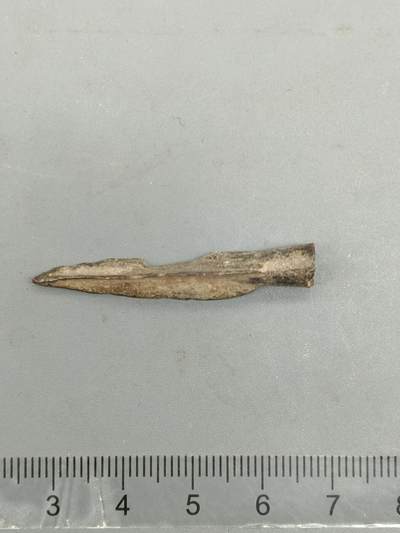 76期回流戒指饰品杂件纪念章丝路钱币专场 - 老箭头