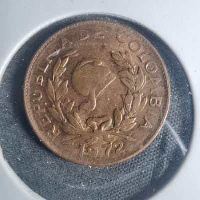 沼泽如烟--第881场 - 哥伦比亚1972年五分